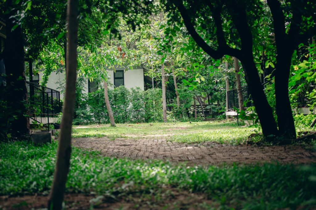 บรรยากาศภายในโรงเรียน ระกว่างตึกเรียน